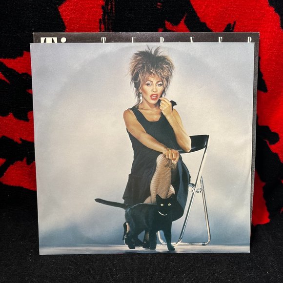 Tina Turner. Private Dancer. Very Good Condition. 1984 Release. Canadian - Picture 4 of 7